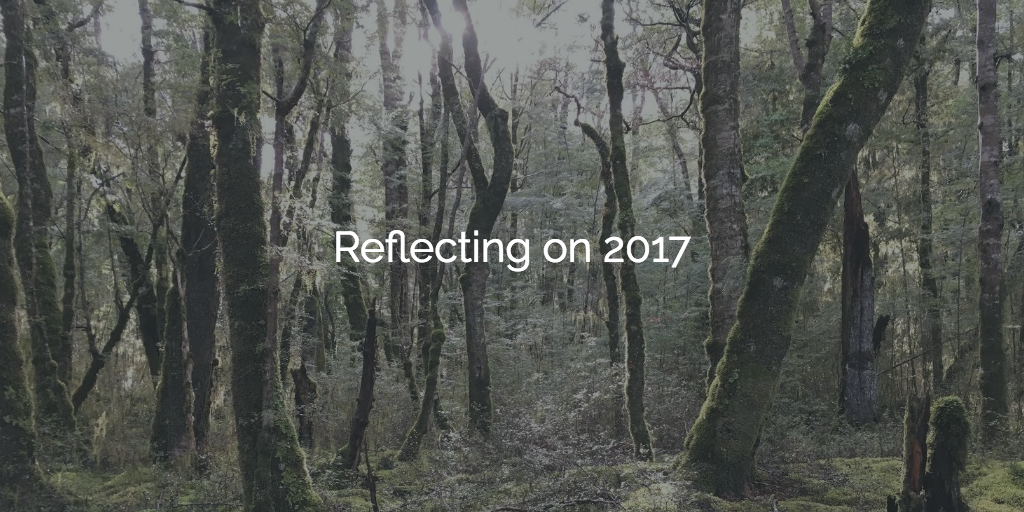 You are currently viewing Reflecting on 2017