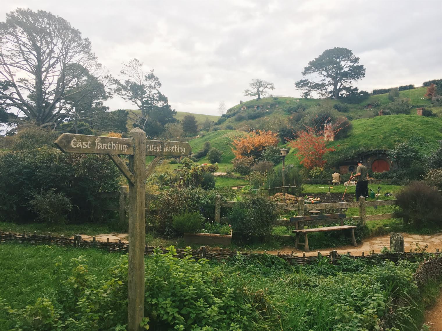 Read more about the article Hobbiton Movie Tour